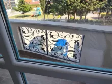 Miniaturka