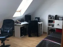 Miniaturka