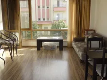 Miniaturka