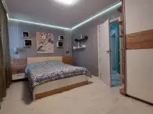 Miniaturka