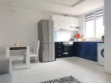 Miniaturka