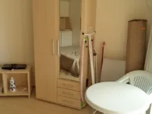 Miniaturka