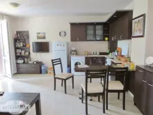 Miniaturka