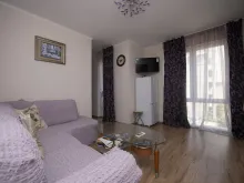 Miniaturka