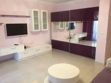Miniaturka