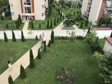 Miniaturka