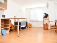 Miniaturka