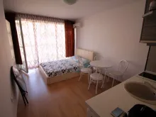 Miniaturka