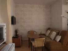 Miniaturka