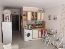 Miniaturka