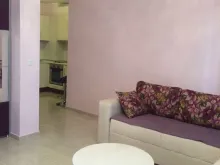 Miniaturka