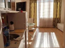 Miniaturka