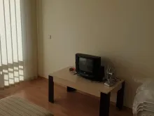 Miniaturka