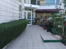Miniaturka