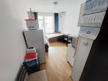 Miniaturka