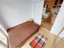 Miniaturka