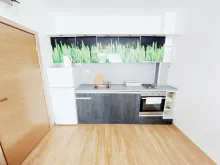 Miniaturka