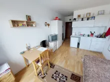 Miniaturka