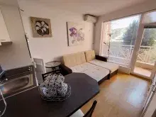 Miniaturka