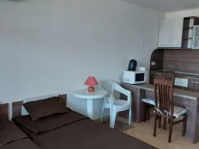 Miniaturka