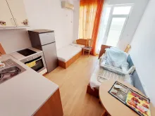 Miniaturka