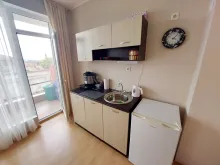 Miniaturka
