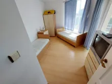 Miniaturka