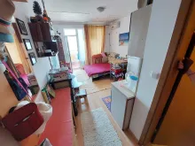 Miniaturka
