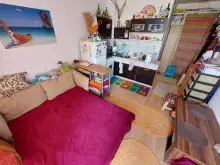 Miniaturka
