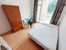 Miniaturka