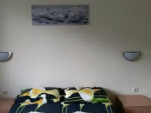 Miniaturka
