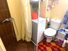 Miniaturka