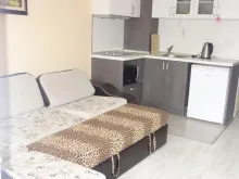 Miniaturka