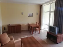 Miniaturka