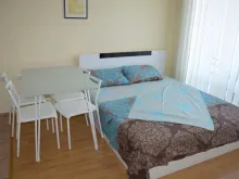 Miniaturka