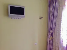 Miniaturka