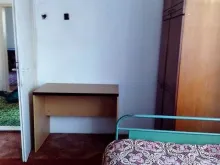 Miniaturka