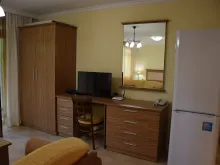 Miniaturka