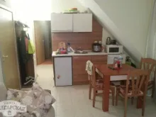 Miniaturka