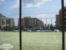 Miniaturka