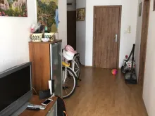 Miniaturka