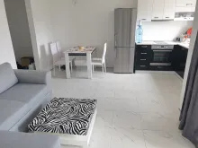 Miniaturka