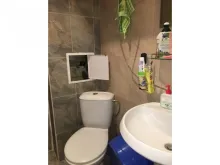 Miniaturka