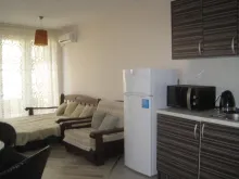 Miniaturka