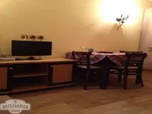 Miniaturka