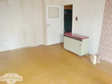 Miniaturka