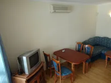 Miniaturka
