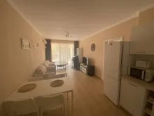 Miniaturka