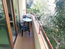 Miniaturka