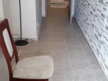 Miniaturka